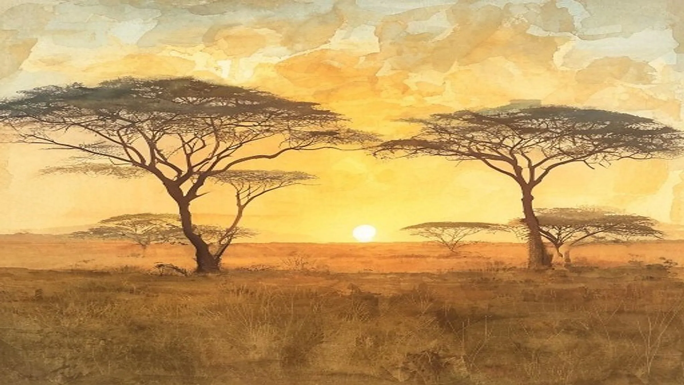Painted African sunset over open grassland