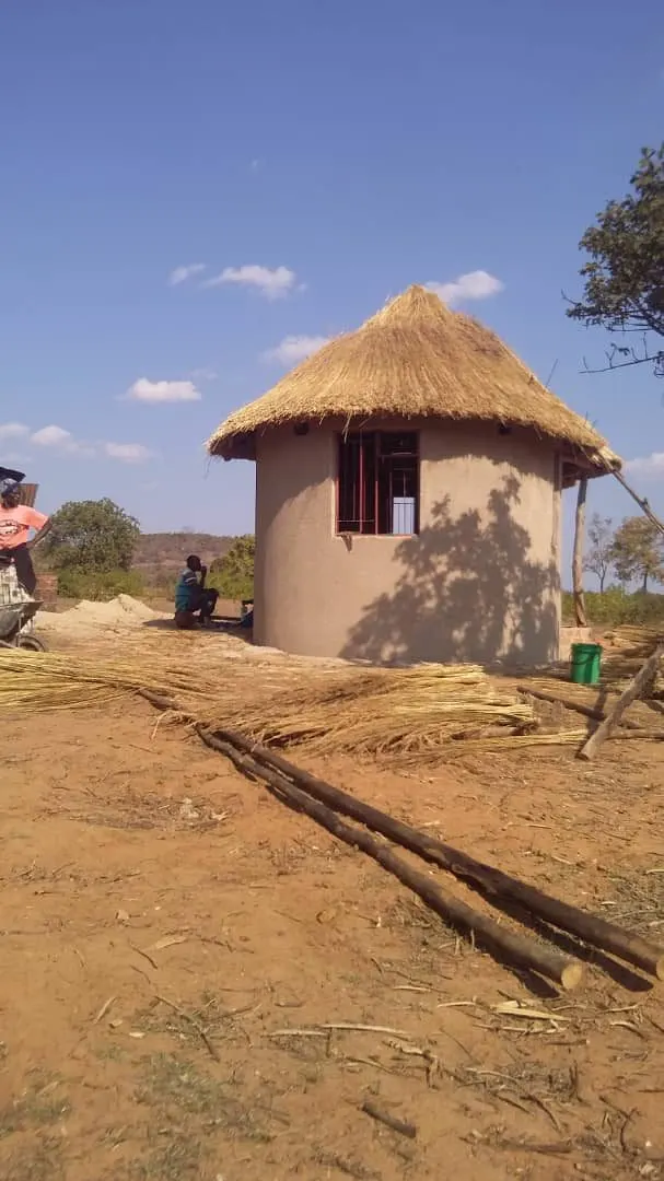 A newly built round house with a fresh thatched roof, people working nearby
