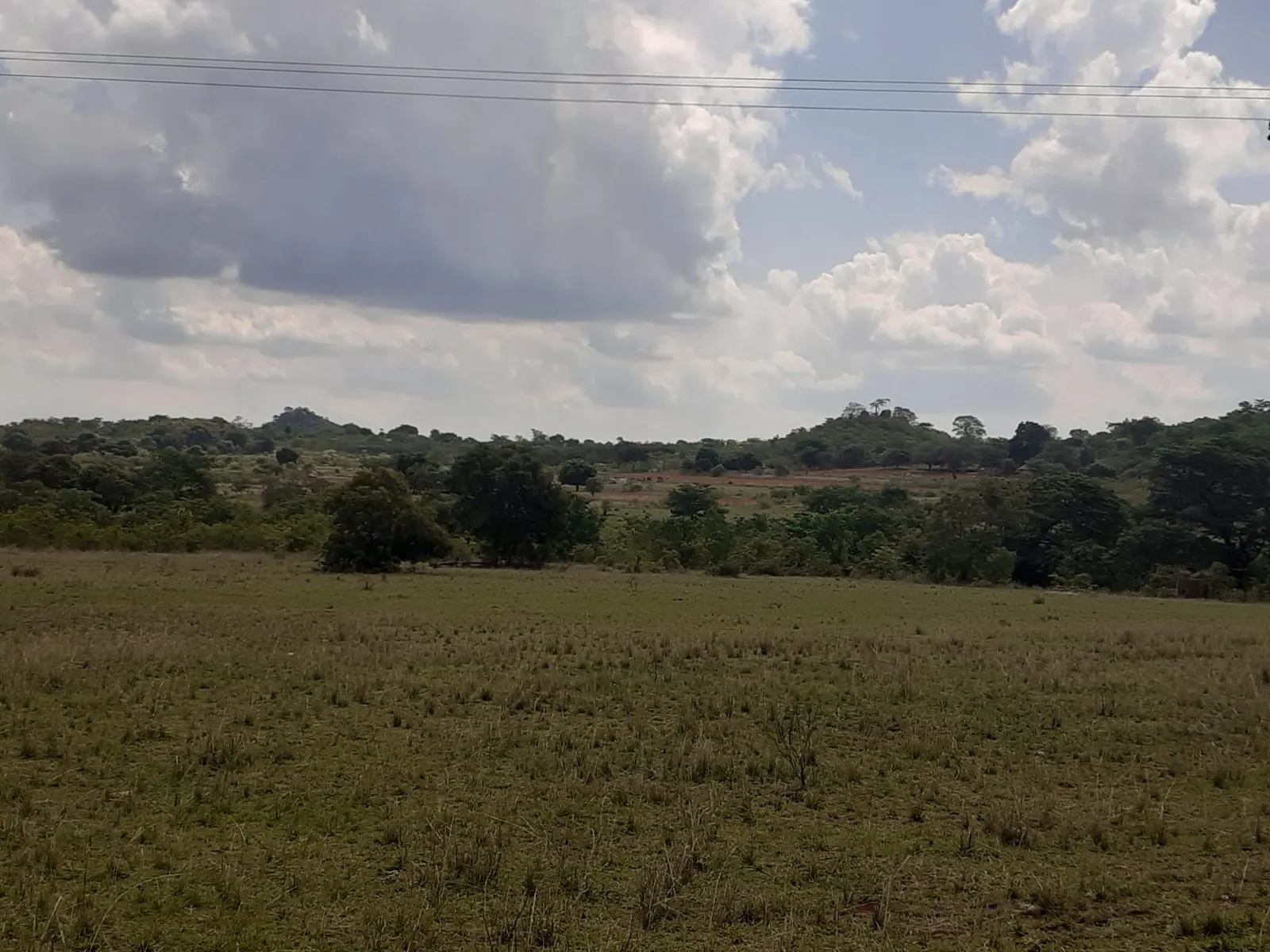 The wide bush and savanna of rural Zimbabwe under a dramatic sky